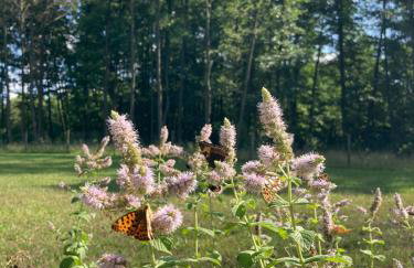 Uroczy drewniany domek w Charzykowach - Foto 30