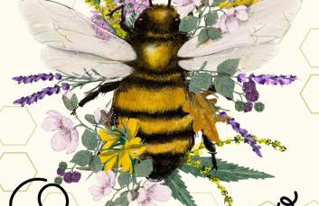 Fogar do Pumar - Foto 25