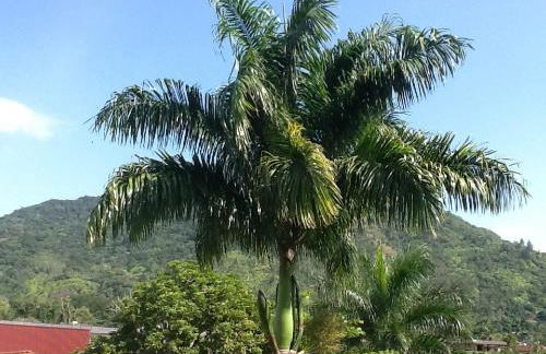 Chalés Monções - Foto 47