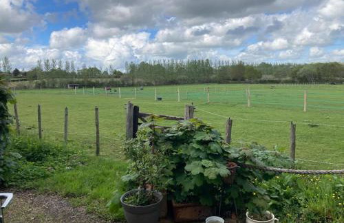 Secret & Secluded Sedlescombe - Foto 13