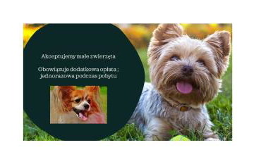 Klif w Mechelinkach - Foto 15