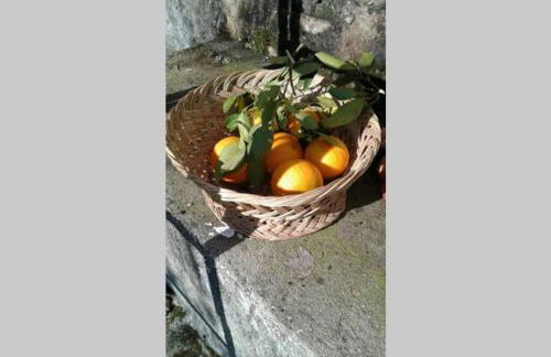 Palheirinho - Foto 45