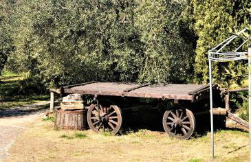 Casale l'Antica Mola - Foto 38