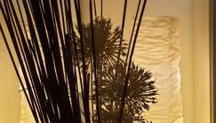 La Casa di Oli&Cris - Foto 4, furniture