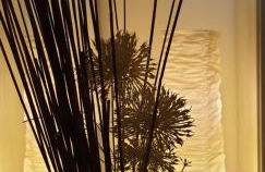 La Casa di Oli&Cris - Foto 4