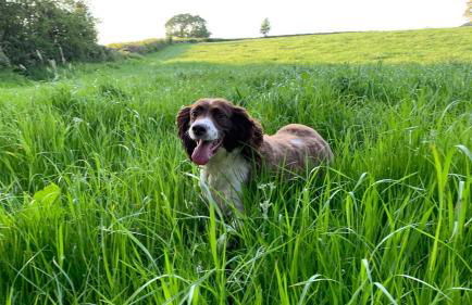 The Grannary - Photo 18