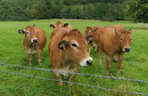 La Croix Bala - Foto 58