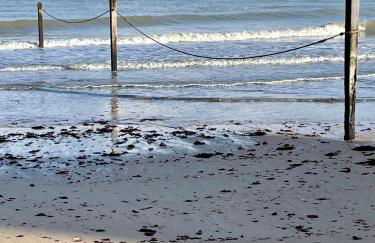 Saint-Aubin-Sur-Mer: Bel appartement traversant - Foto 24