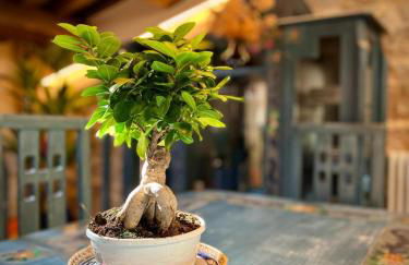 Tetti di Trevi - Foto 15