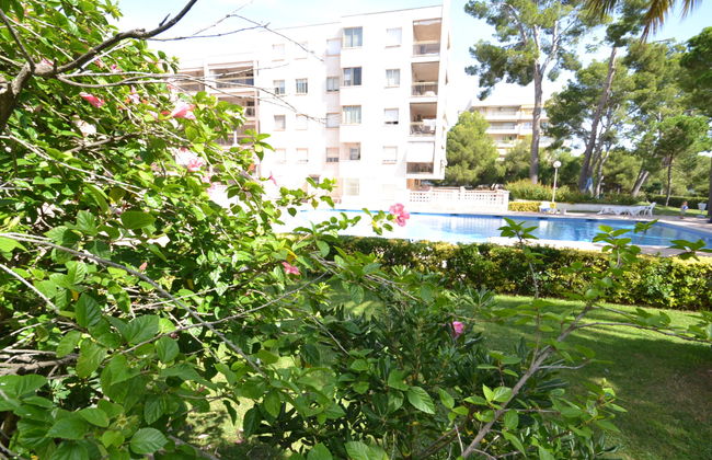 Cala Dorada - Foto 20