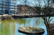 Zentrale Ferienwohnung mit Blick auf den See inklusive Parkplatz und Internet Geschäftsreisende willkommen - Foto 7