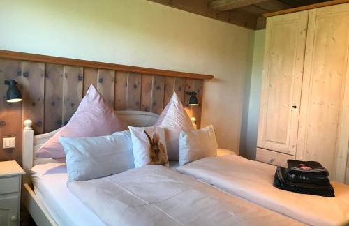 Bei uns im Allgäu - Ferienwohnungen für Erholung und Aktivität - Foto 6