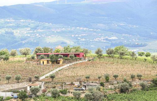 Quinta dos Padrinhos - Suites in the Heart of the Douro - Foto 56