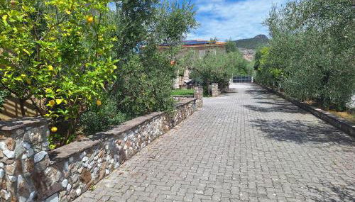 michele house - Foto 2