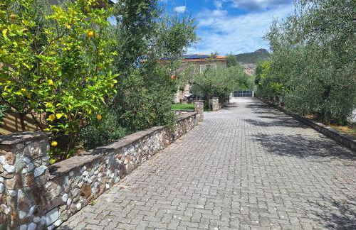 michele house - Foto 2