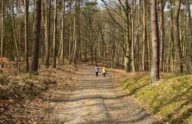 Miła Odmiana - Enklawa Krynica Morska - Foto 31