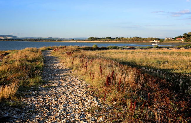 Charming Beach Getaway - Spacious 4BR Sunny Garden - Foto 50