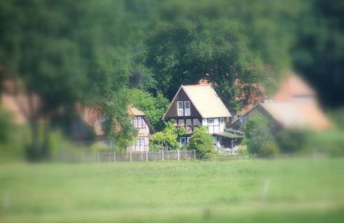 NEU! Bauern-Speicher Anno 1606 - Foto 21