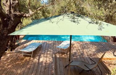 Podere Il Piantoneto - Foto 58