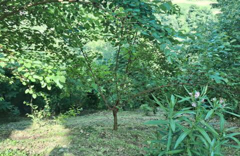 Bellavista Iseo - Foto 28