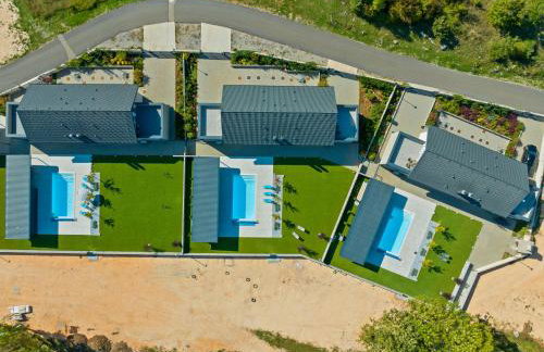 Degenia Velebitica - Photo 3