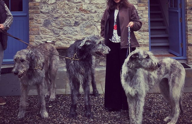 Hotwell House - Foto 20