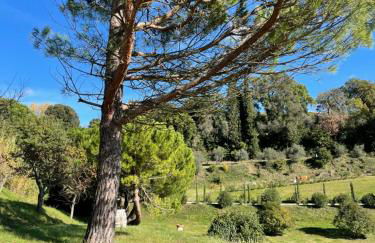 RESORT Panoramico Canale Suite - private parking - Natural Park - Photo 71