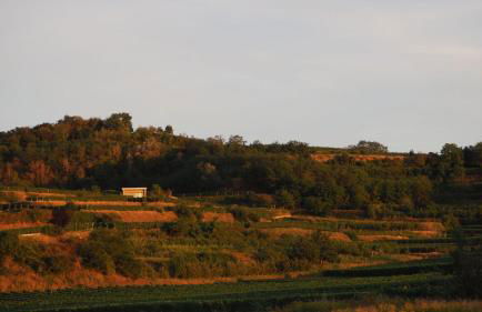 Gästehaus Haßler - Foto 20