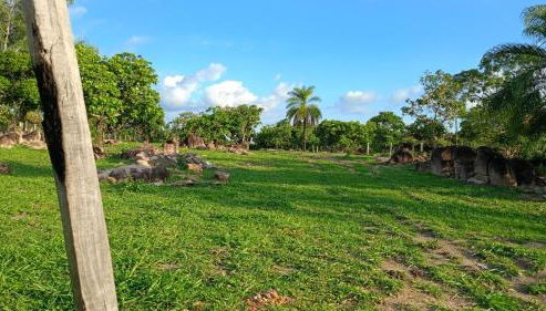 Fazenda Serra Azul - Foto 3