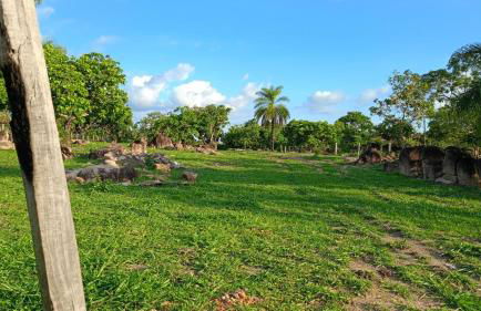 Fazenda Serra Azul - Foto 3
