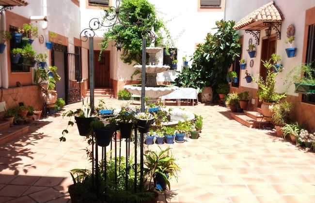 Casa Tipica Cordobesa en la Juderia - Photo 27