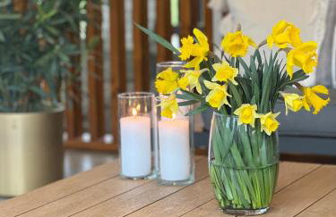 Villa Gorczański Zakątek Agroturystyka - Foto 8