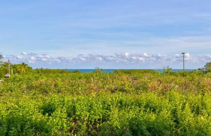 Reel Key Largo Escape Ocean Pointe 5209 - Foto 29