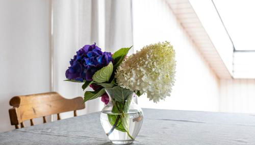 Ferienwohnung im Haus Kempkens - Foto 5