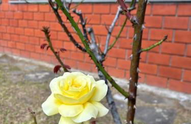 Villino Cecchini - Foto 50