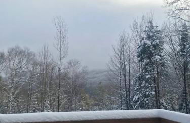 Dreamy Artist Chalet in Secluded Historic Village - Photo 24