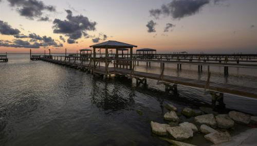 Trout Tank by Miss Kitty’s - Foto 4