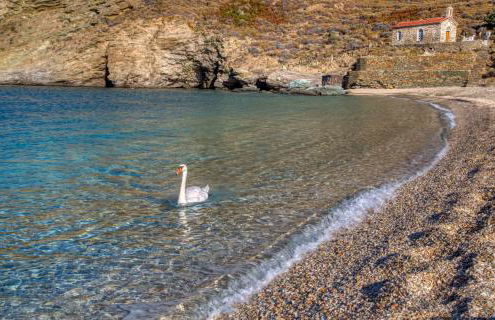 Andros Guesthouses - Foto 14