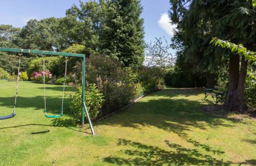 The Big Dingle - Foto 29