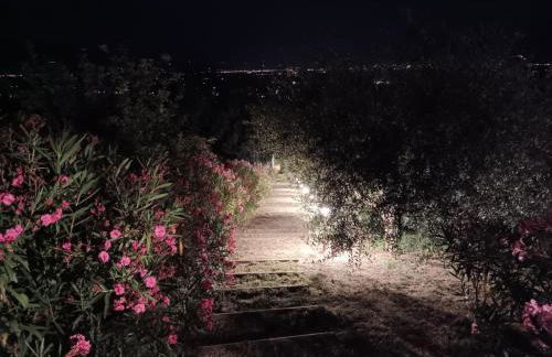 Casa vacanze Castellara - Foto 31