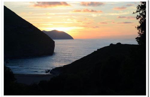 Playasonabia - Photo 28