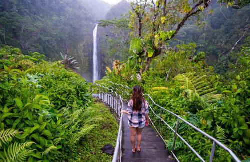 THE HONOMU HOUSE - Gorgeous, Spacious 4Bd2Ba Home near Waterfalls and Hilo, Sleeps 12! - Foto 37