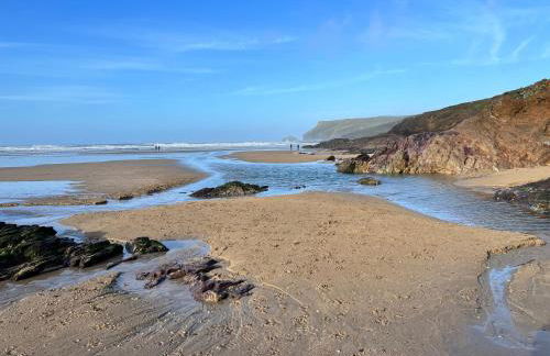 Oystercatcher, Pityme - Foto 16