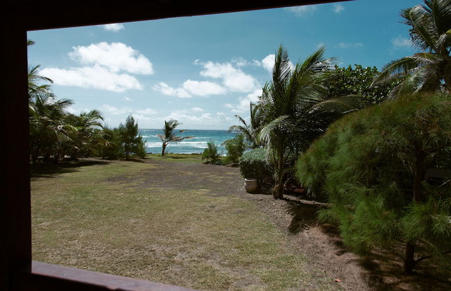 Ocean Spray Apartments - Foto 61