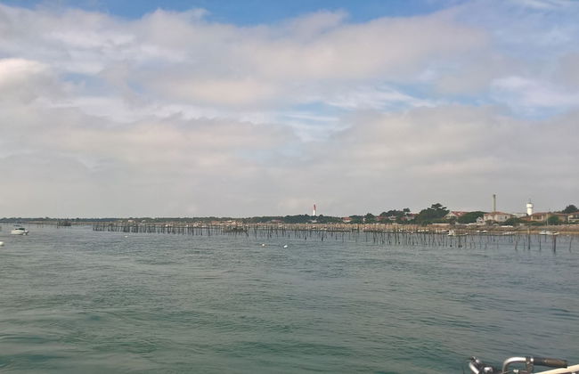 Les Calicots Sanguinet - Photo 14