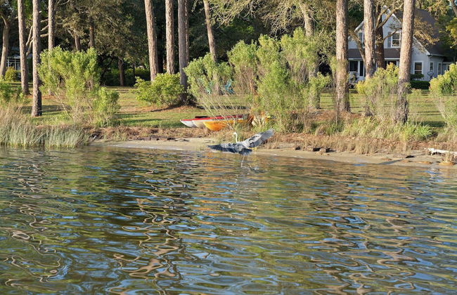 Secluded Waterfront Retreat for 23 Dock, Pets OK - Foto 35