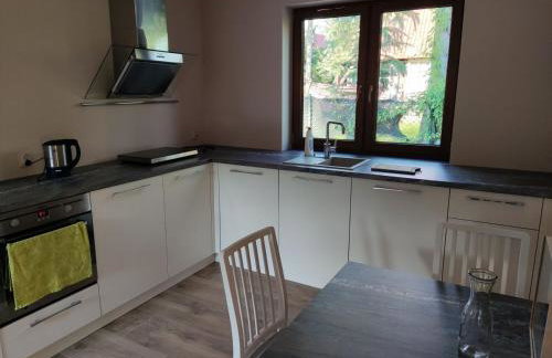 Domek wakacyjny nad jeziorem Gowidlińskim - Foto 13