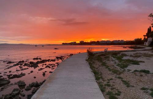 Apartments Brezović Škrapavac - 40m from the beach - Photo 31