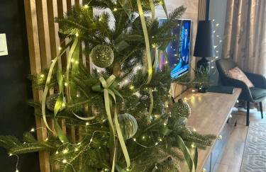 Apartamenty Termalne GREEN Apartment - Foto 73