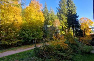 Foresty Appartement - Foto 25